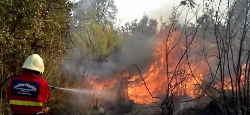 Rischio incendi: l’appello del WWF per un ferragosto responsabile