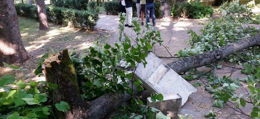 Tragedia sfiorata a Piazza Torlonia, un albero cade tra le panchine