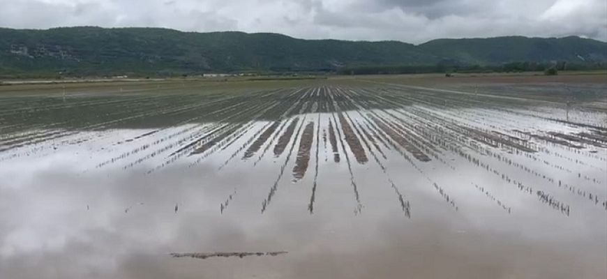 Fucino: annata agraria in pericolo per le forti piogge