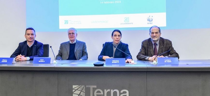Nuovi accordi tra Terna e associazioni ambientaliste 