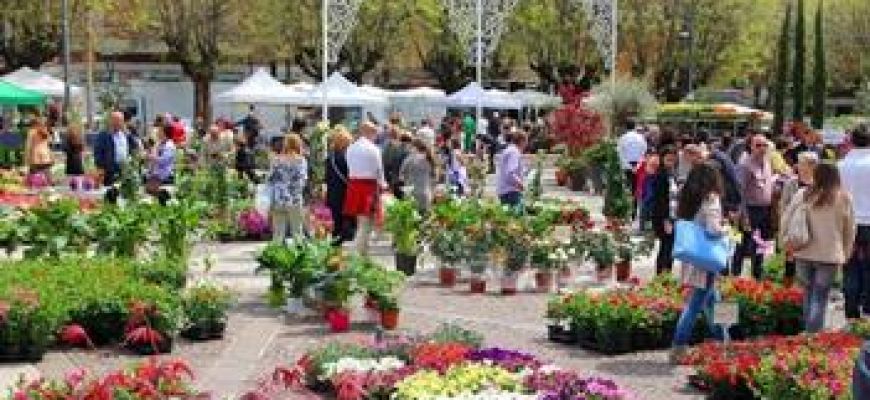 Florambiente - Evento floreale in Piazza Risorgimento