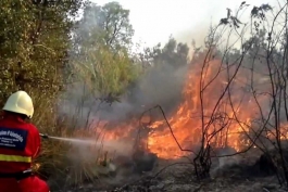 Rischio incendi: l’appello del WWF per un ferragosto responsabile