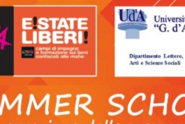 Università degli studi G. D'Annunzio: Parte la Summer School
